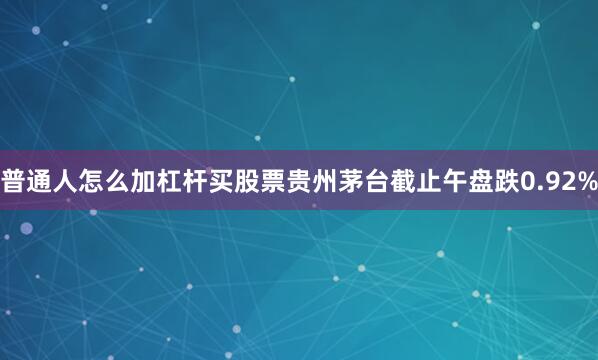 普通人怎么加杠杆买股票贵州茅台截止午盘跌0.92%