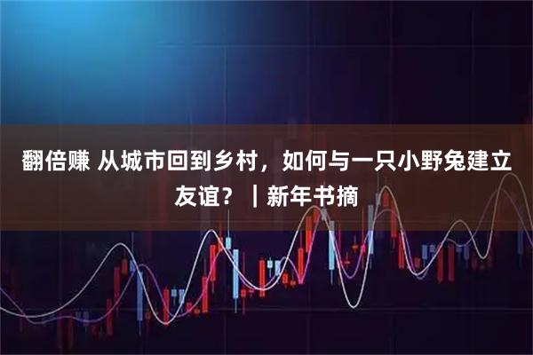 翻倍赚 从城市回到乡村，如何与一只小野兔建立友谊？｜新年书摘